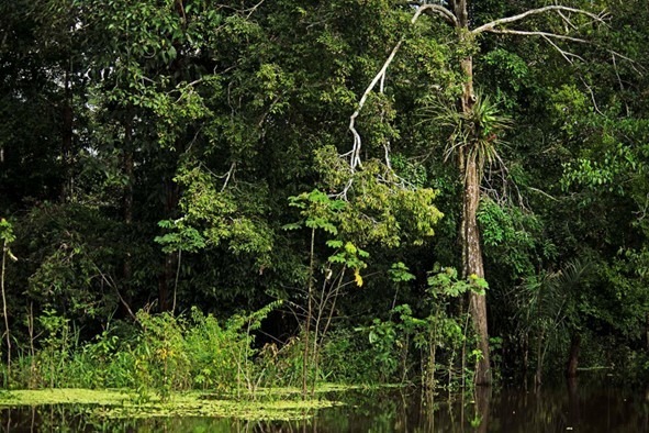 bam-aumento-de-capital
