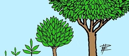 economia-sostenible-peru