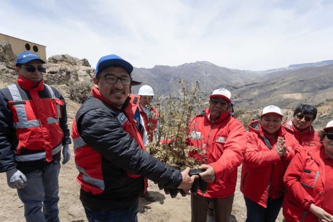 angloamerican-ecosistemas-cambio-climatico