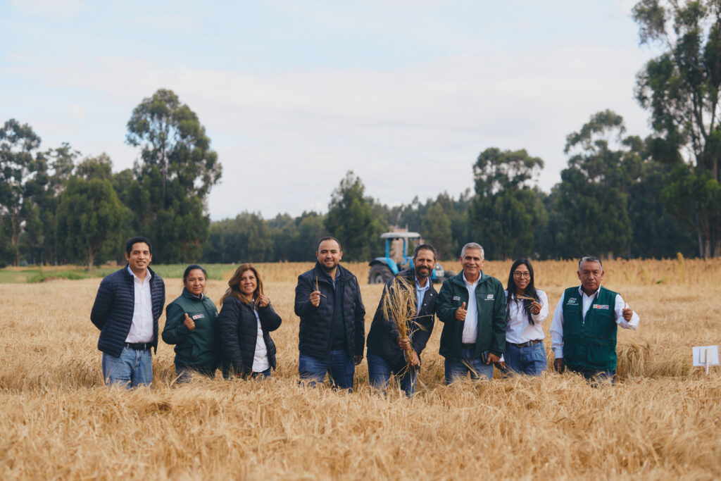 Equipo de Backus en campo agrícola promoviendo la recuperación de amunas para la gestión sostenible del agua en Perú
