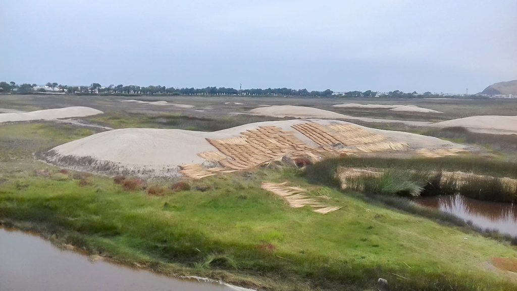 Humedal Puerto Viejo afectado por intervención territorial que amenaza su protección legal y principio precautorio