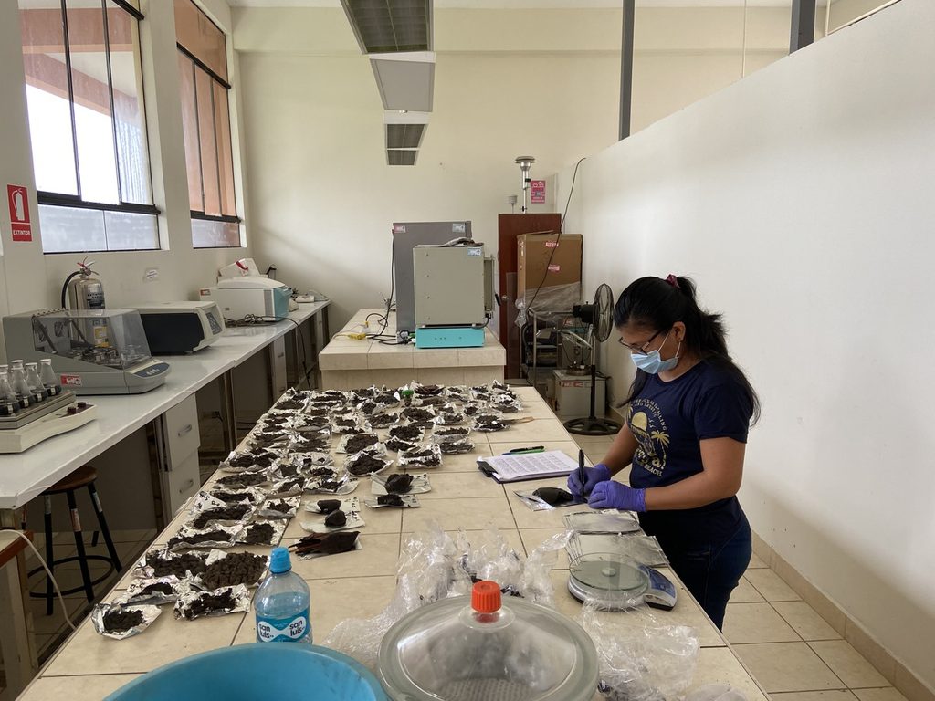 Especialista analiza muestras de suelo para estudiar el carbono azul de los manglares de Tumbes en laboratorio.